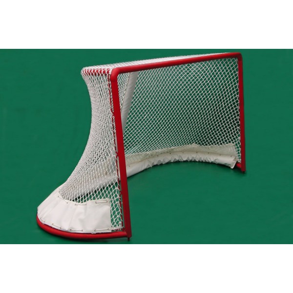 ice hockey net BASIC